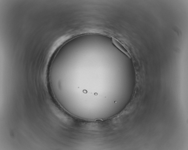 X0000110980104200907022104