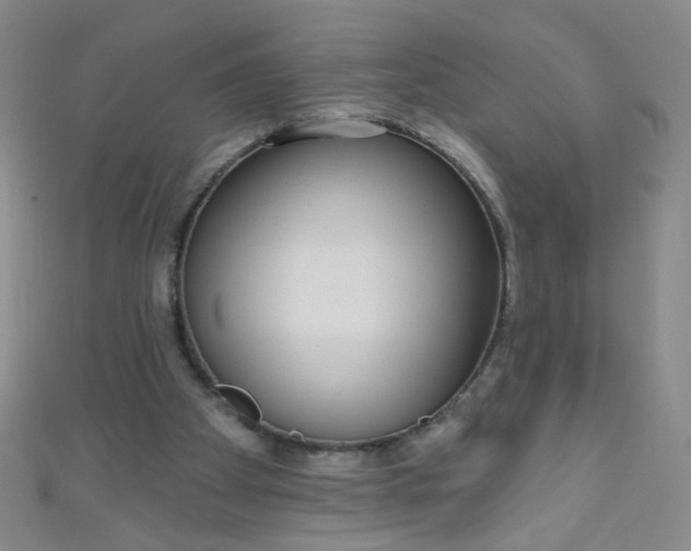 X0000110980105200907022104