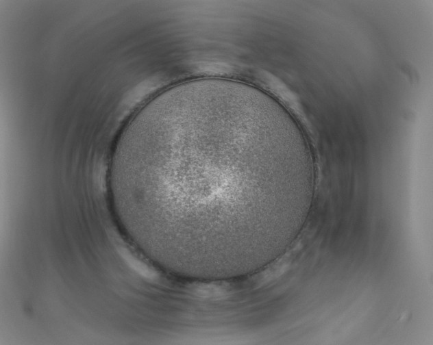 X0000110980106200907022104