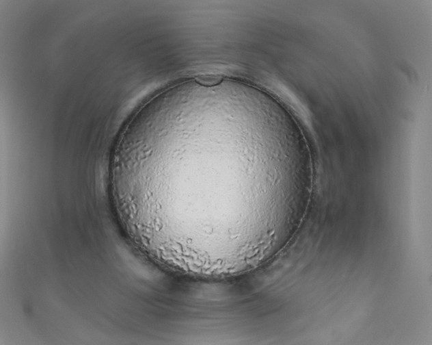 X0000110980107200907022104