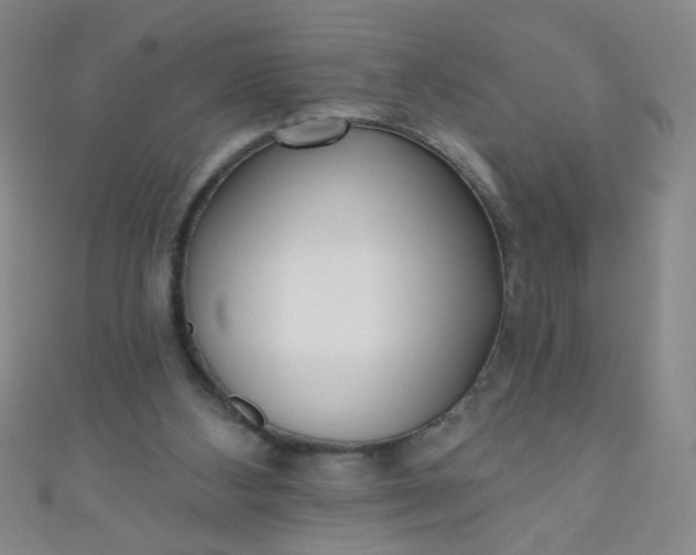 X0000110980108200907022104