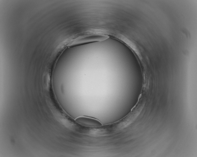 X0000110980109200907022104