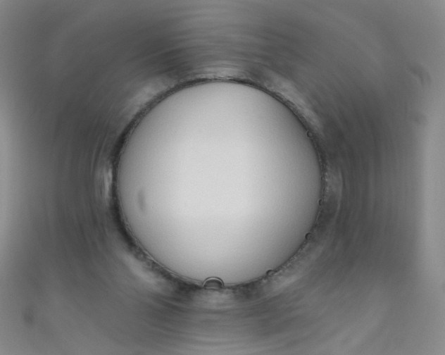 X0000110980110200907022104