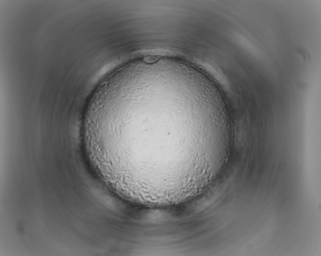 X0000110980111200907022104