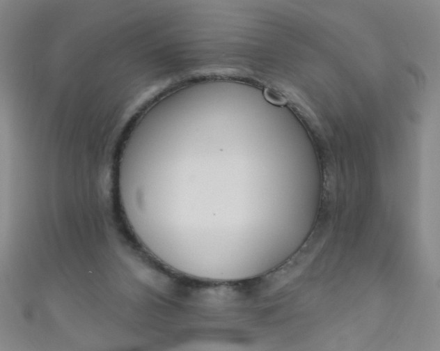 X0000110980112200907022104