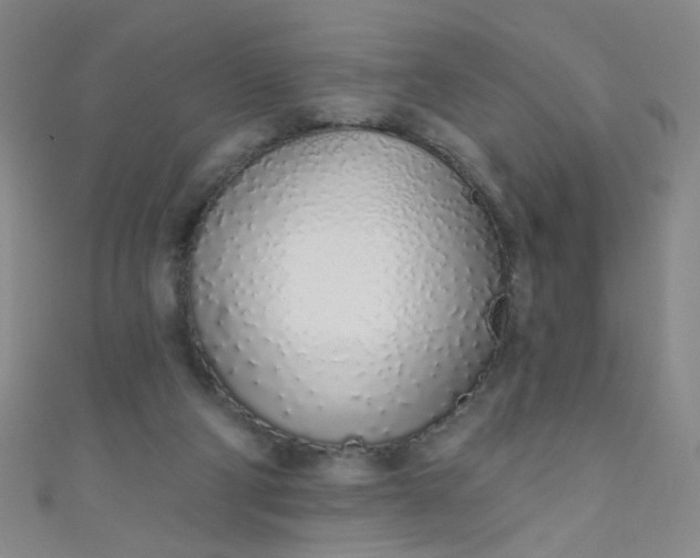 X0000110980114200907022104