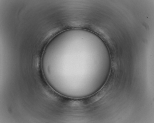 X0000110980115200907022104