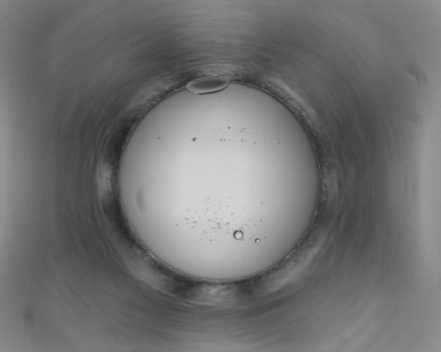 X0000110980117200907022104