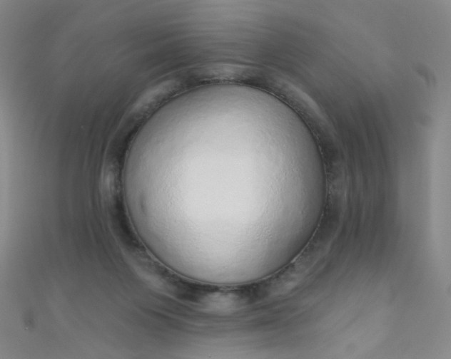 X0000110980119200907022104