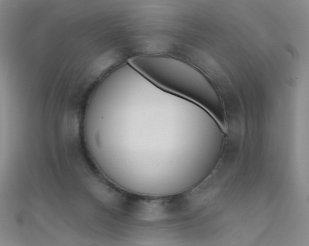 X0000110980120200907022104