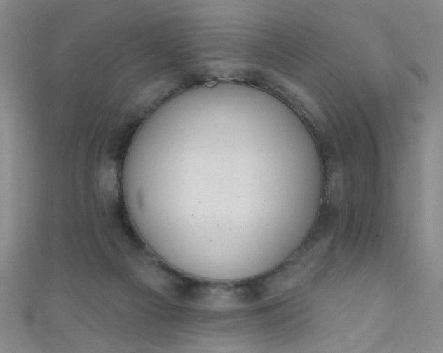 X0000110980121200907022104