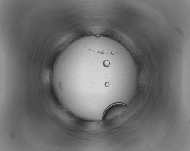 X0000110980122200907022104