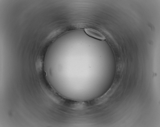 X0000110980124200907022104