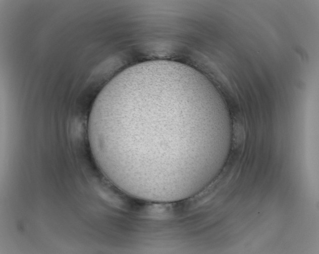 X0000110980126200907022104