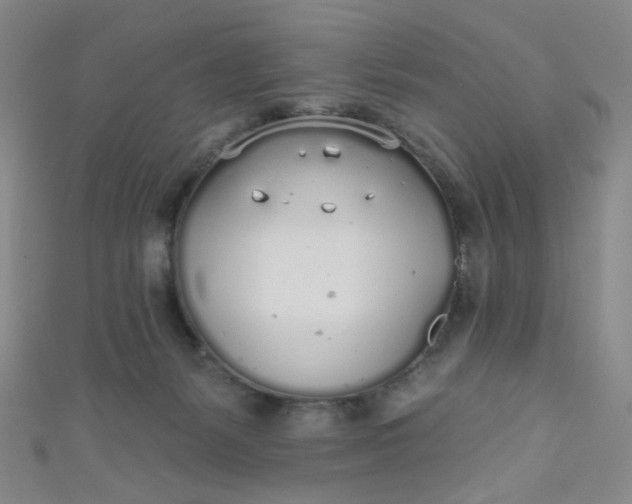 X0000110980127200907022104