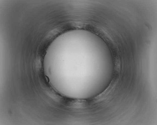 X0000110980128200907022104