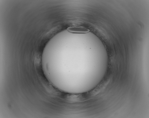 X0000110980129200907022104