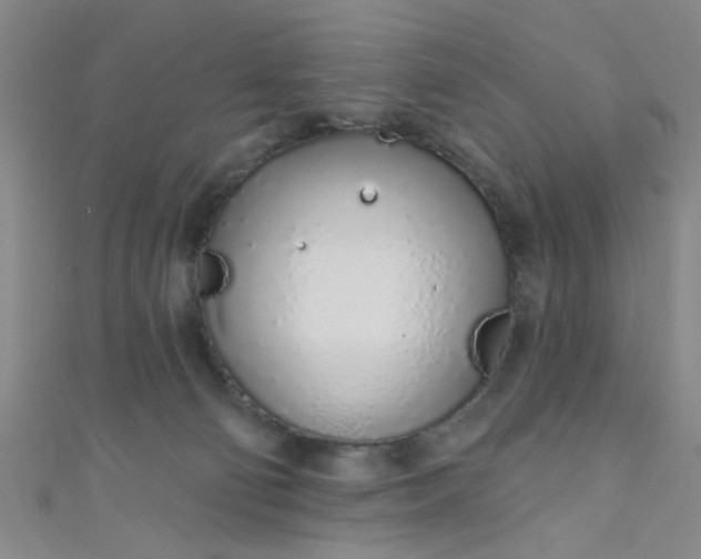 X0000110980130200907022104