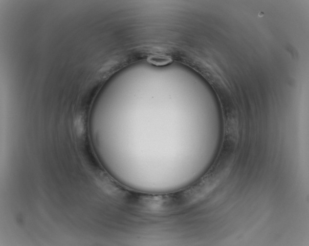 X0000110980131200907022104