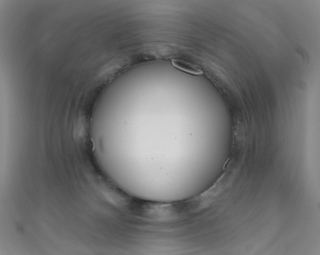 X0000110980132200907022104