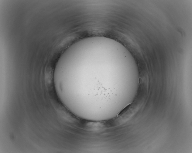 X0000110980133200907022104