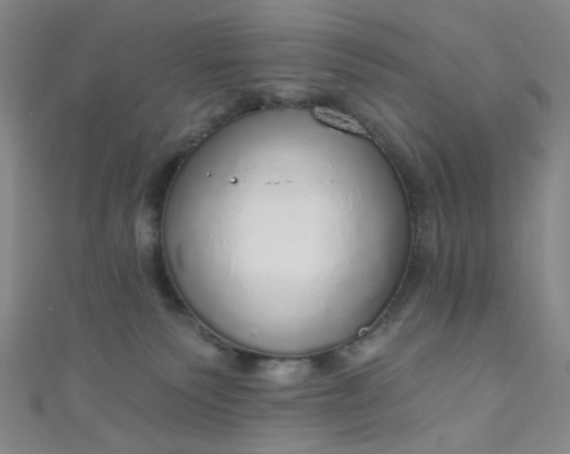 X0000110980135200907022104