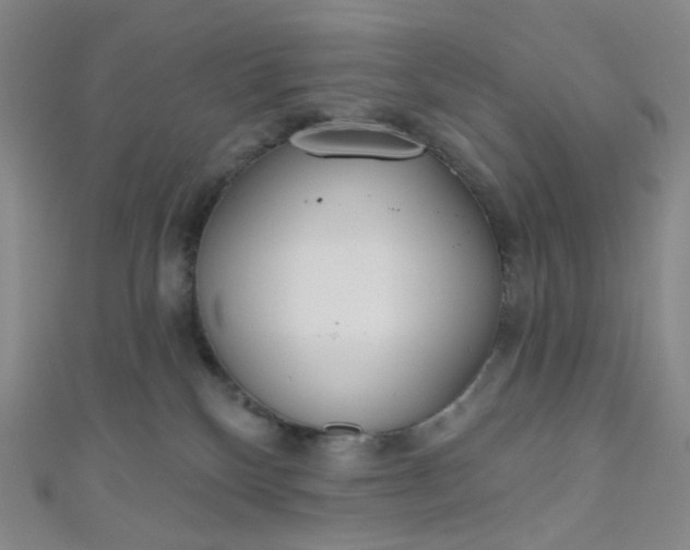 X0000110980136200907022104