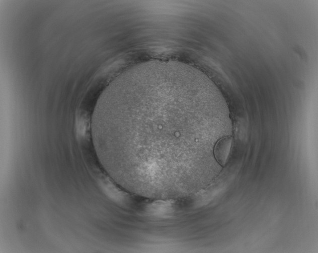 X0000110980138200907022104