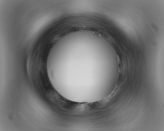 X0000110980140200907022104