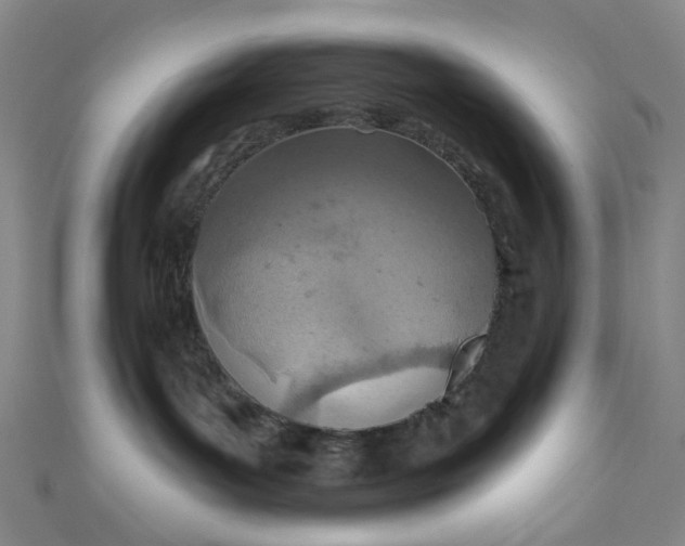 X0000110980143200907022104