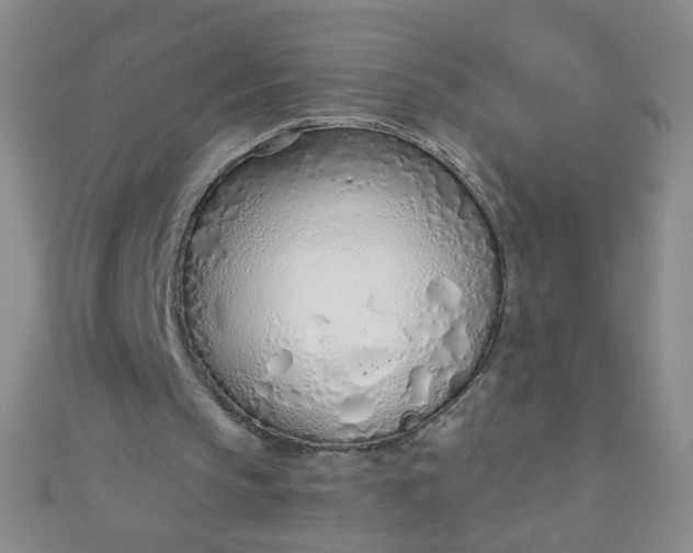 X0000110980145200907022103