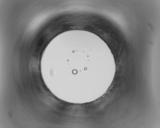 X0000110980146200907022103