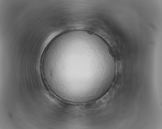 X0000110980147200907022103