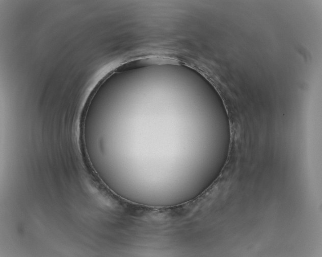 X0000110980148200907022103