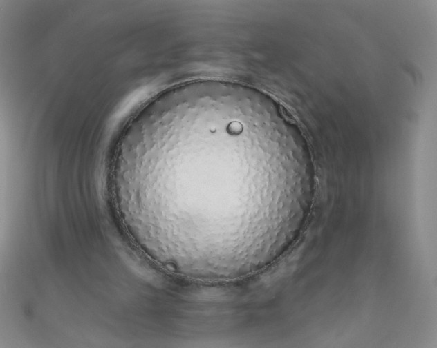 X0000110980149200907022103