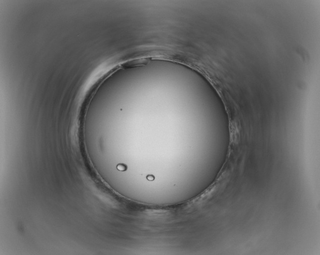 X0000110980150200907022103