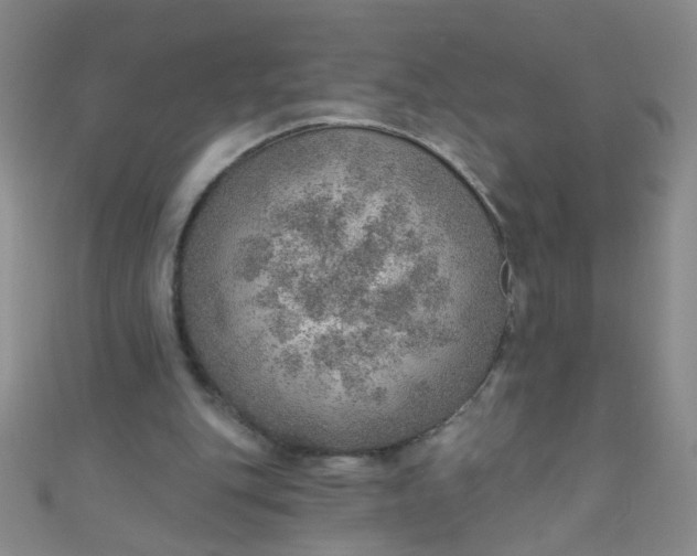 X0000110980151200907022103