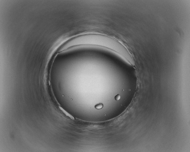 X0000110980152200907022103