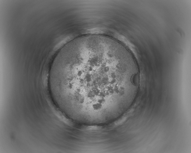 X0000110980153200907022103