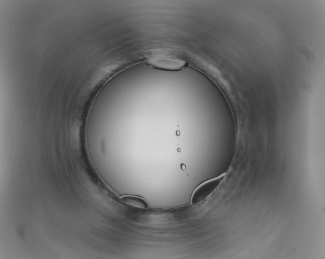 X0000110980154200907022103