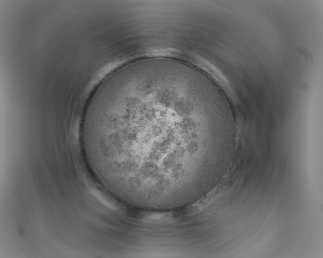 X0000110980155200907022103