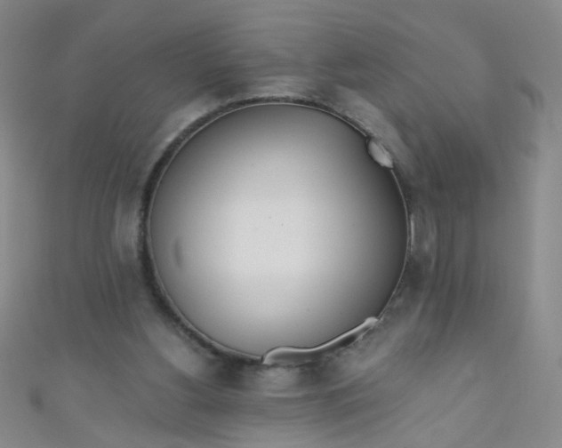 X0000110980156200907022103