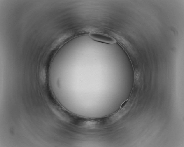 X0000110980158200907022104