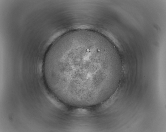 X0000110980159200907022104