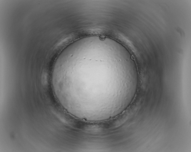 X0000110980161200907022104