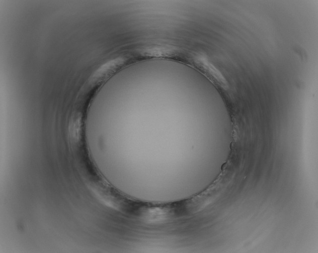 X0000110980163200907022104