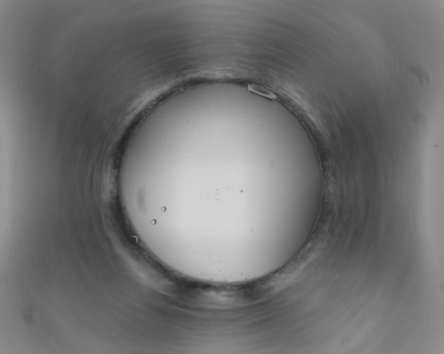 X0000110980164200907022104