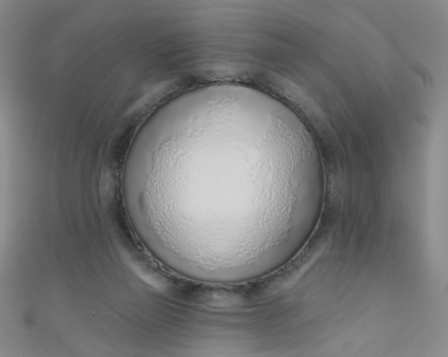 X0000110980165200907022104