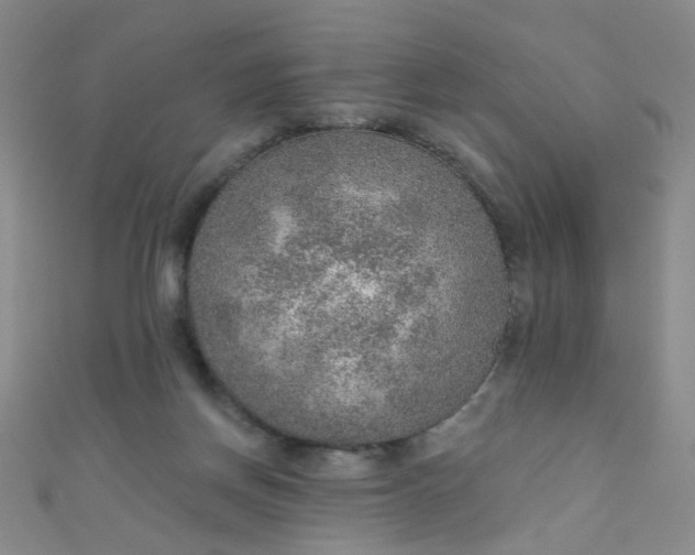 X0000110980166200907022104