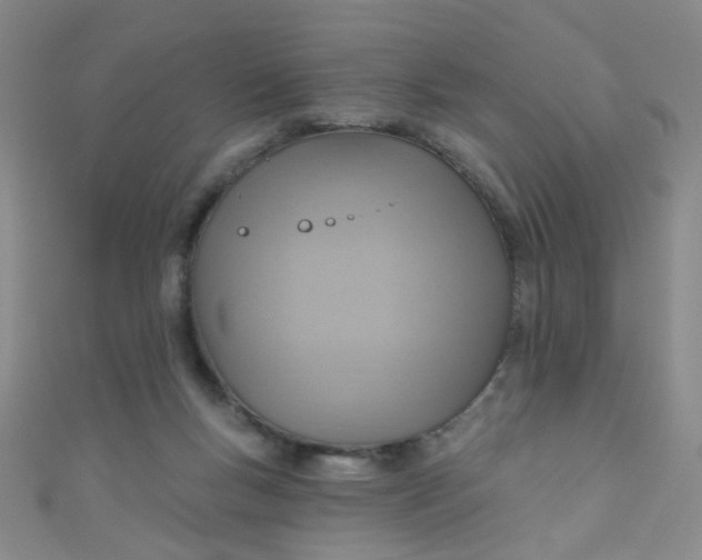 X0000110980167200907022104